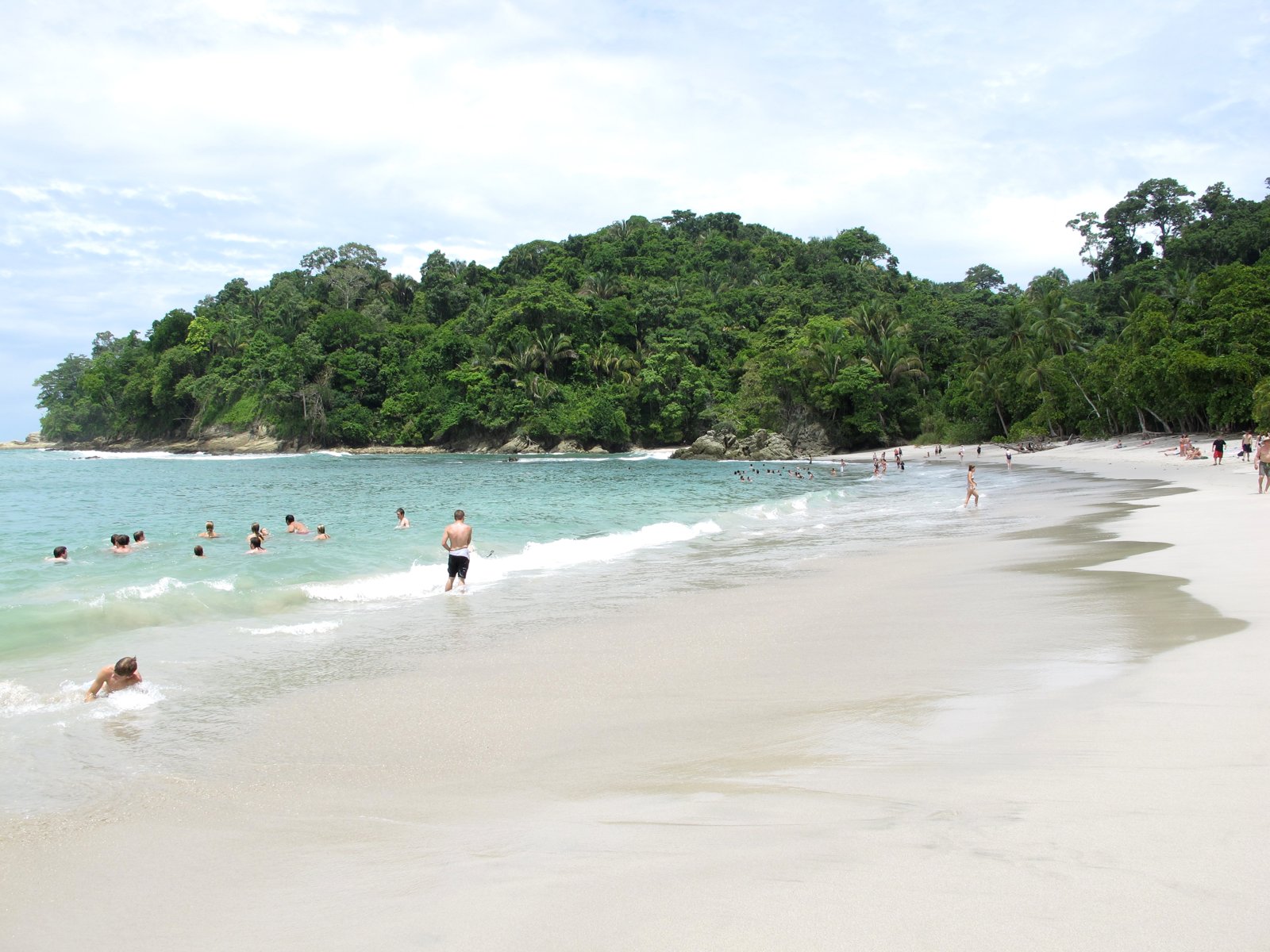 Pacific beach bordered by tropical forest in Manuel Antonio, Costa Rica