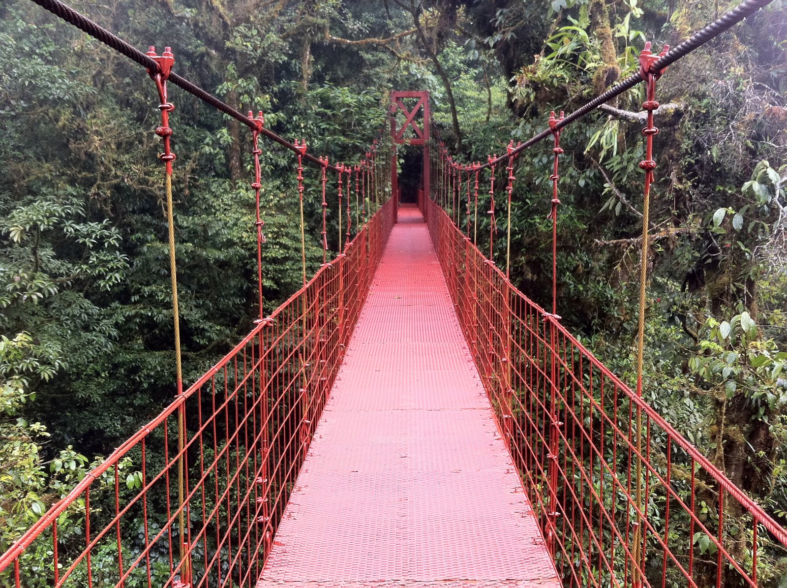 A red hanging bridge through Monteverde’s lush cloud forest